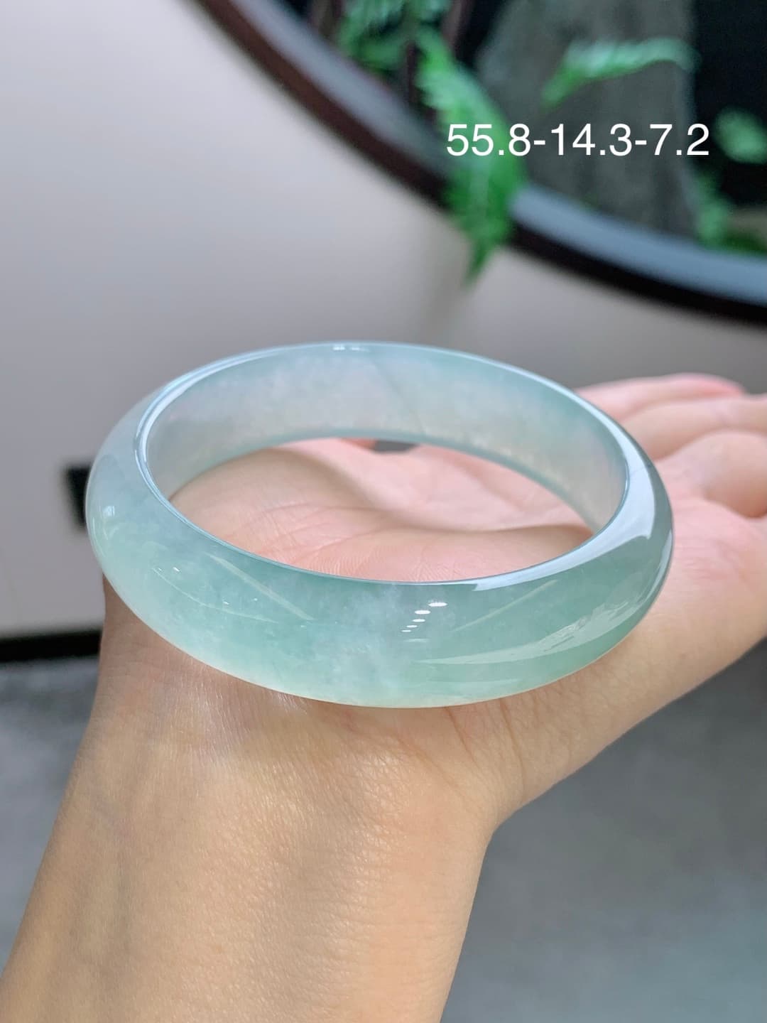 Apple Green Jadeite Bangle